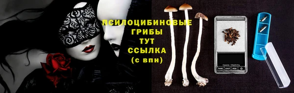 кокс Алексин