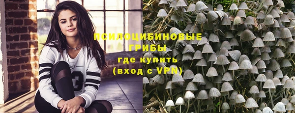 шишки Алзамай