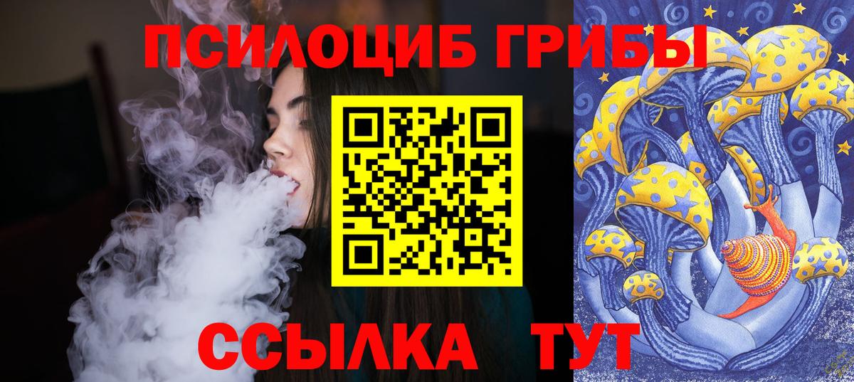 Псилоцибиновые грибы мухоморы Энгельс