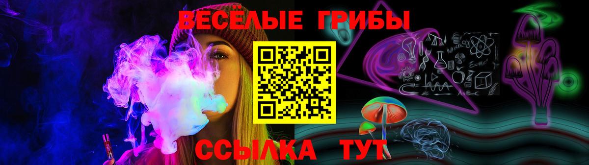 сколько стоит  Псилоцибиновые грибы Psilocybe  Вход с VPN  Энгельс 
