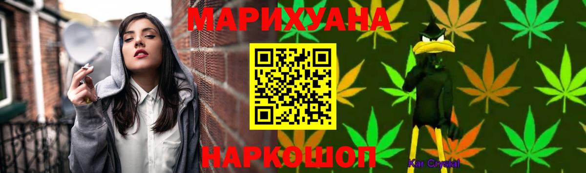 Бошки Шишки план Энгельс